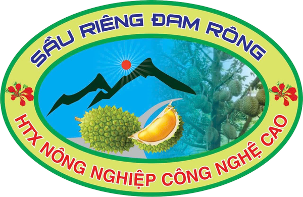 Sầu Riêng Đam Rông logo